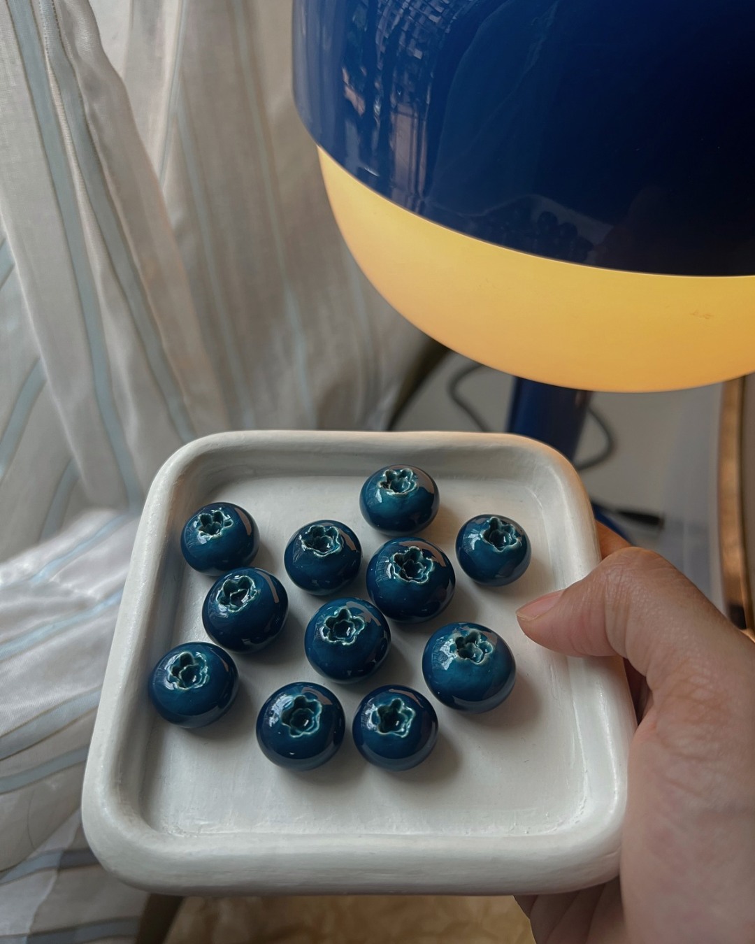 Blueberry Magnet