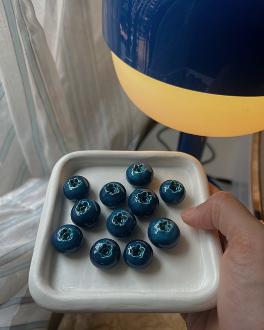 Blueberry Magnet