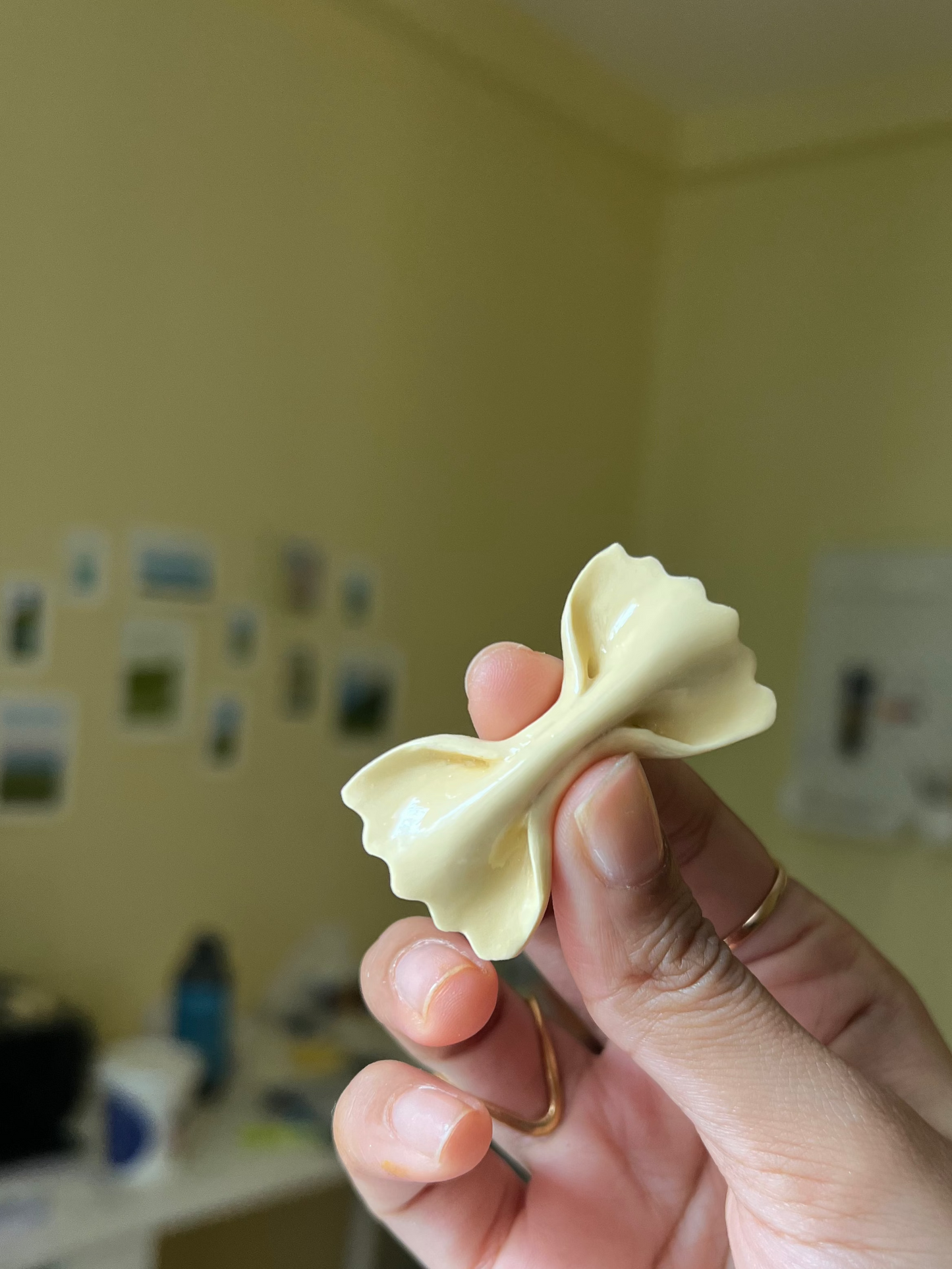 Farfalle Magnet