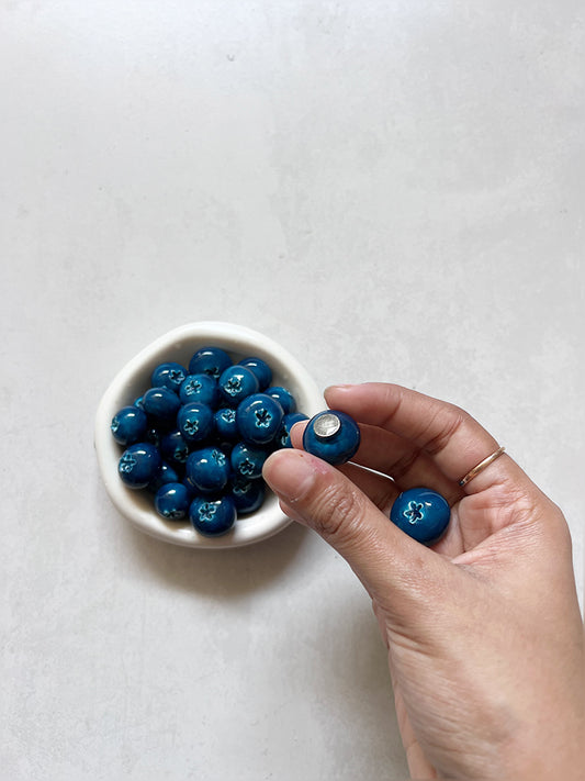 Blueberry Magnet